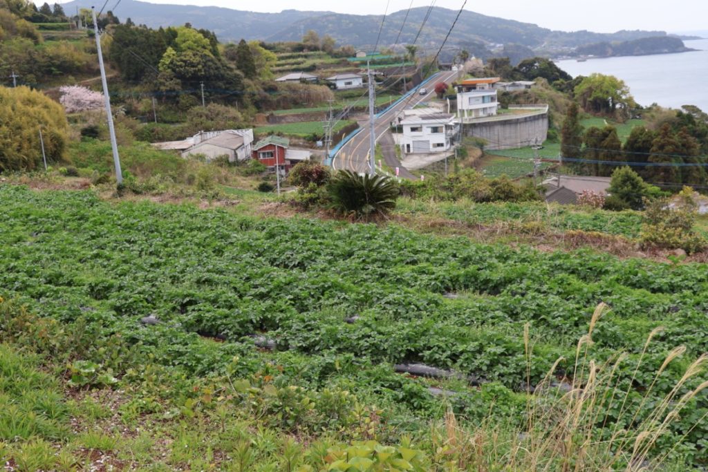 4月26日開催 じゃがいもまつり in ながしま