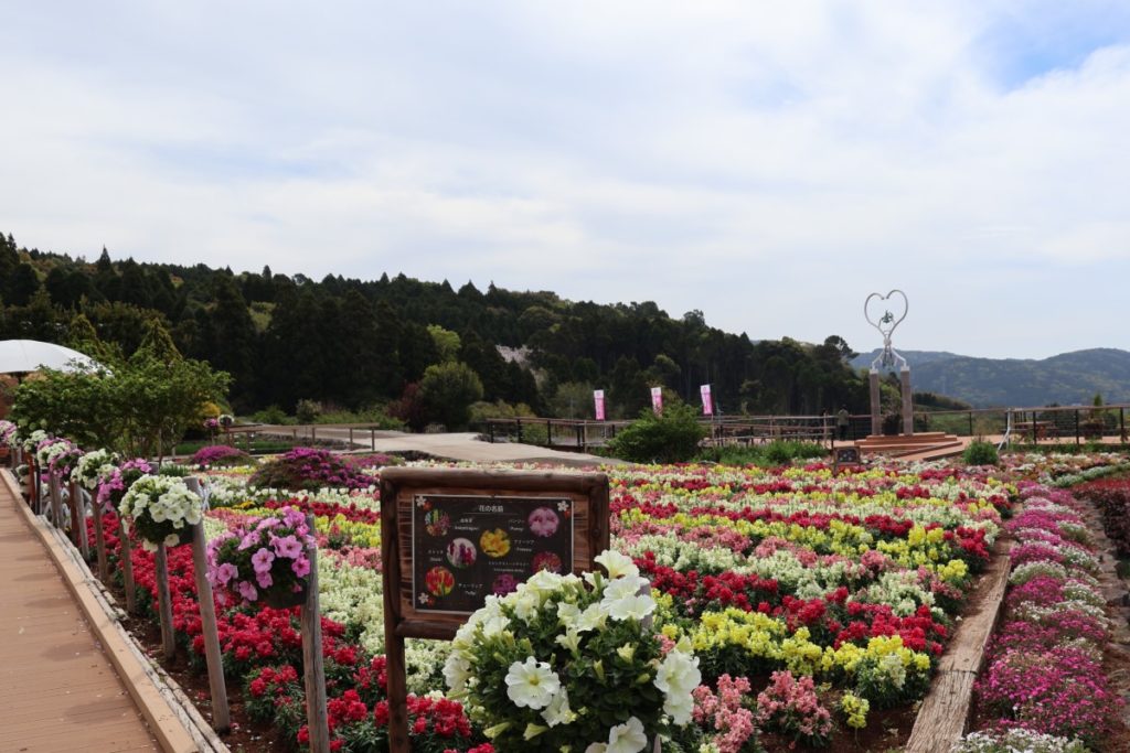 ゆっくり楽しみたい方は平日が狙い目